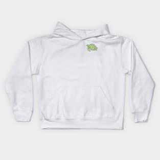 Save the Turtles Kids Hoodie